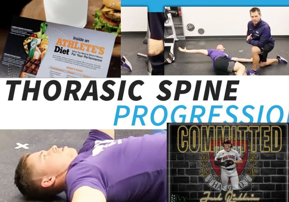 Thorasic Spine Progression Template Poster